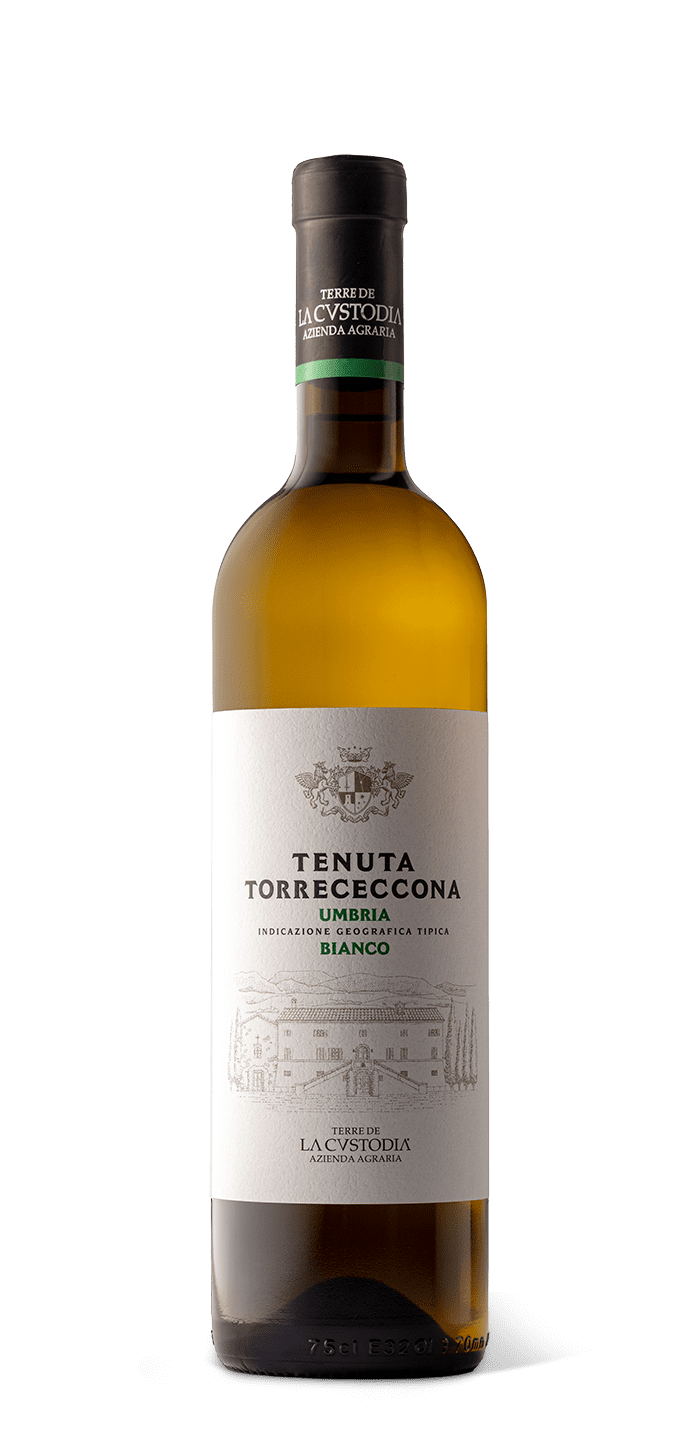 Indicazione Geografica Tipica Vino Bianco