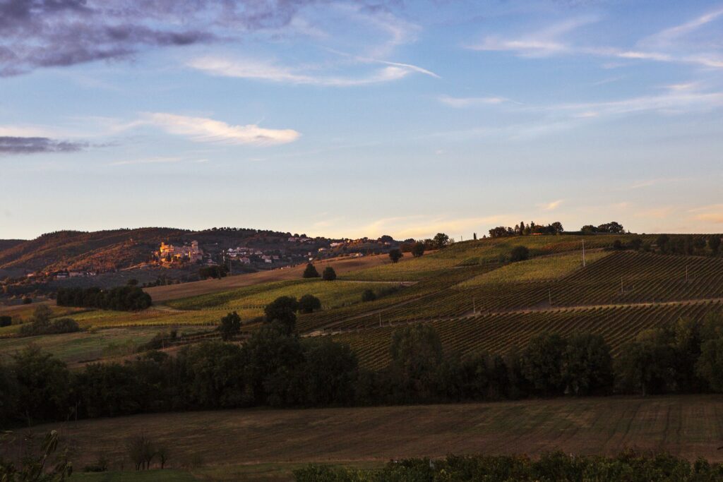 cantina gualdo cattaneo